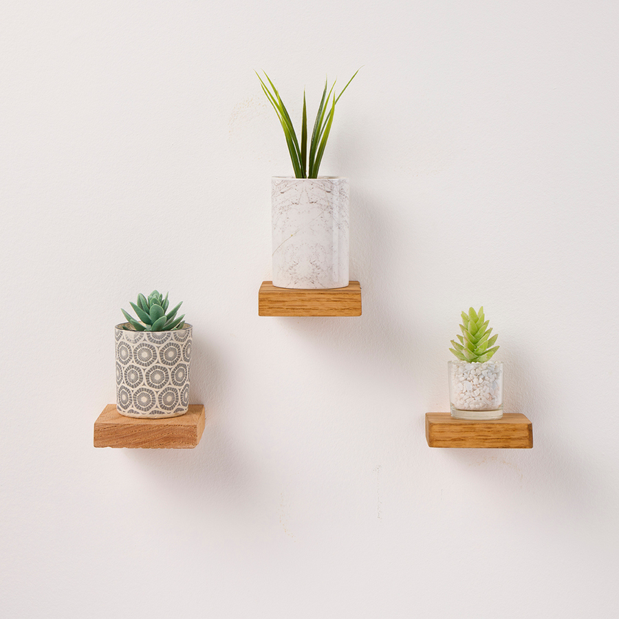 Mini oak floating plant shelf, wall-mounted with three shelves holding potted plants.