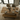 oak dining table and bench set with x frame legs in dining room setting