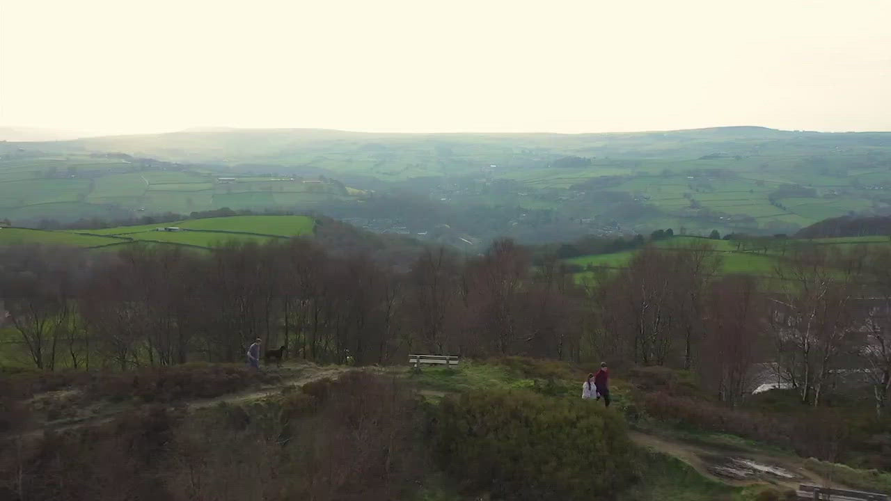 Off the grain video footage