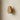 Single solid oak oval wooden wall hook mounted on neutral plaster wall