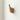 Wooden wall hook on a white background